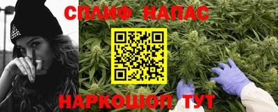 мдпв Обь